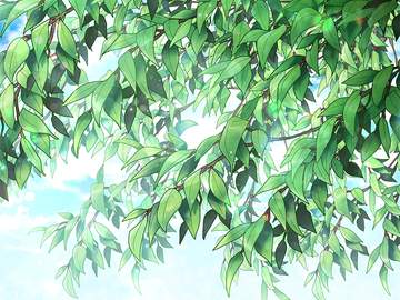 나뭇가지 브러시