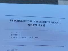 채리의 종합심리검사 결과지