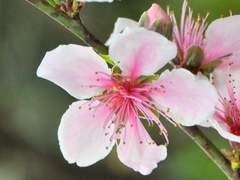 프로필- 공명지조:파산현정