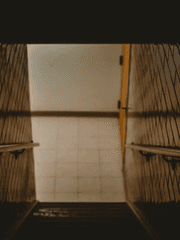 정신병원 이야기