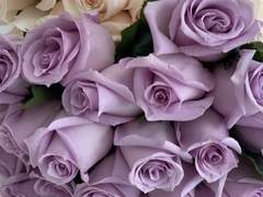 전 반드시 살아남을 겁니다.