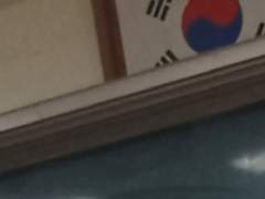 재연ㅣ 생태계 교란종