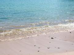 솔부 구하와 카프리치오