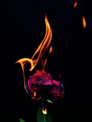 악녀로, 합법적 불 지르기