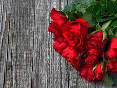 장난에는 장난으로,