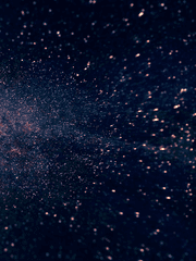 시의 아름다움[FREE]