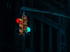 [진혼기/자하설영] 꽃놀이-패 (2)