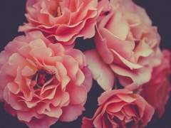 [ 윈스톤 레냐 / 26세 / 공개프로필 ]