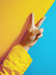 에이드리안 로즈