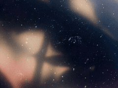 [이데케이] 극기