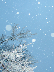 [칼윈] 겨울을 기다리며