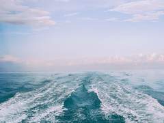 남부 에스트만 제도 보고서