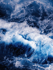 어두운 바다의 등불이 되어