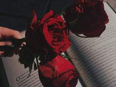 정보 길드에서 요청 결과를 보고합니다.