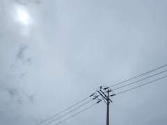 Don’t let the light go out (1)