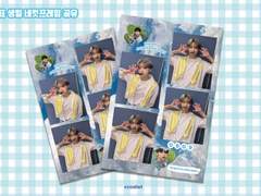 동표 생일 네컷프레임 도안 공유