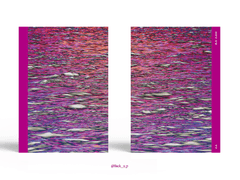 Sold out. 홍하의 바람