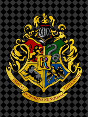 30살에 마법사가 된 패트