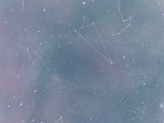 주말 사이 우리들은,