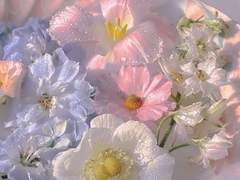 🦴무쫄 2년차 고수의 무쫄 팁