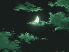 [아람 (雅濫)/남/16]