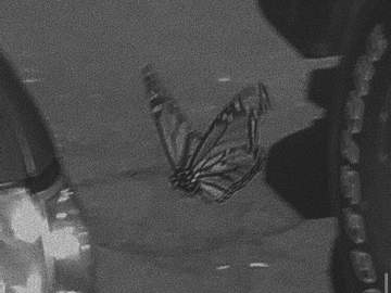 [사쿠아츠 장편] 백일의 황후님_08