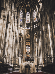 고위 신관의 이중생활