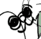 이자나 생일일러 최고...