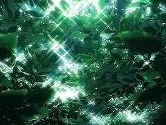 [주술회전] 정령이여, 날 수호해주세요.