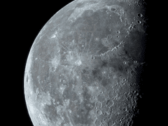 [공지] 달에 피는 꽃 5화 공지