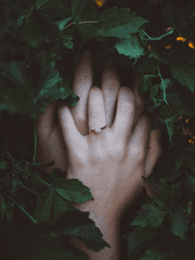 초후애(初後愛)