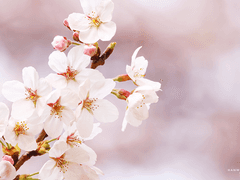 어디에 그렇게 꼭 꼭 숨어버린건가아~!