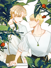 데뷔못하면 마법사 된다