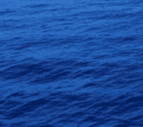 이곳에서 나와 파도를 맞자