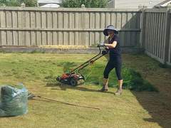 1일 1 아무거나 쓰기