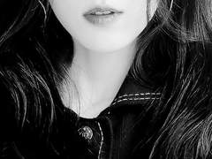 한세계 설명서.