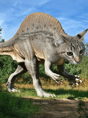 ADHD 아둥이 만와동산