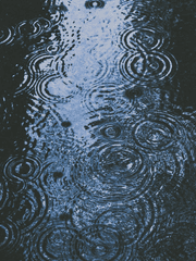 이별에도 시기가 있다