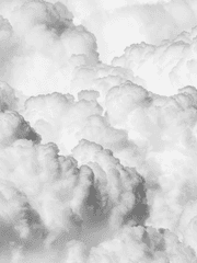 보 심슨의 우울