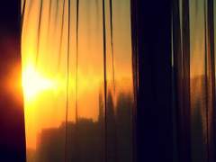 그분독자 / 청답5 (완)