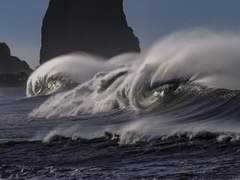 카리브디스의 이름으로.