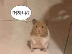 일기를 써볼게용