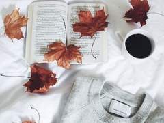 가을바람 불어오는 그곳