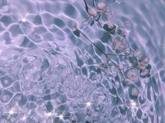 타티아나 오웬 XX 25