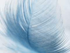 [1막] 바람 속을 거닐다