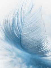 바람 속을 거닐다