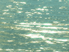 정새벽, 아침을 맞이할 준비를!