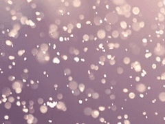 타카하시 아이리