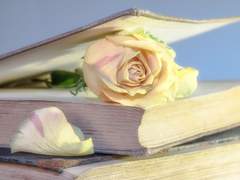 ■■을 지표 삼아