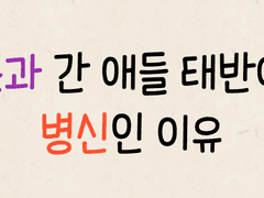 문과 간 애들 태반이 병신인 이유